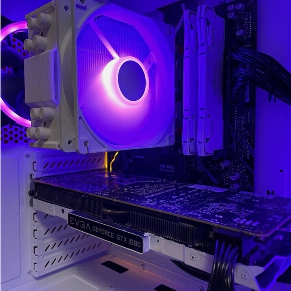 Meet your Posher, Polly - Picture 6 of 7